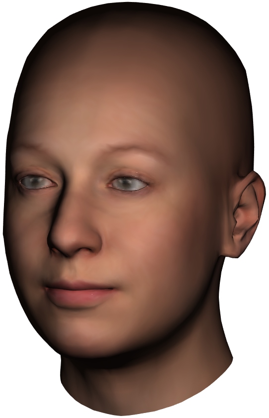 4D Face Model colour picture