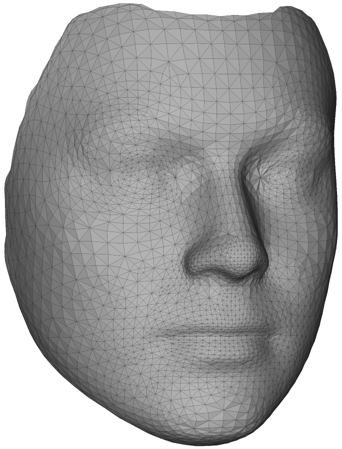 Surrey Face Model shape picture