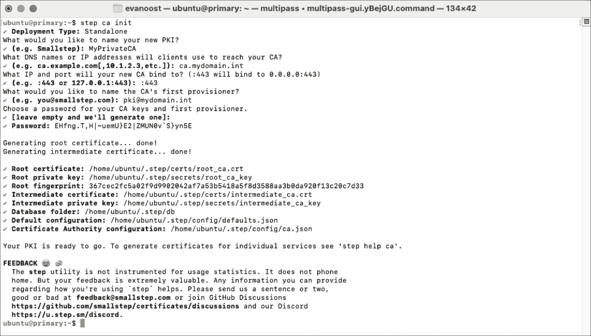 Пример результата выполнения команды step ca init