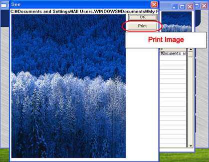 Print image dialog