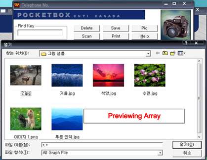 Telephone directory with previewing array