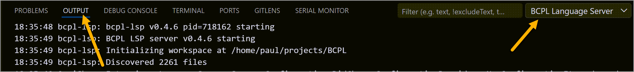 Server output in the VS Code output channel