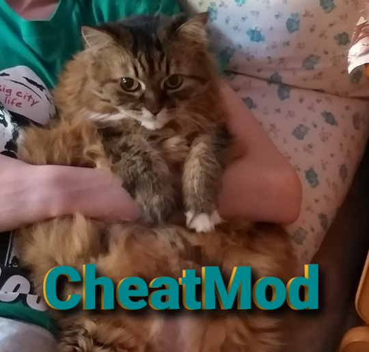 CheatMod Icon