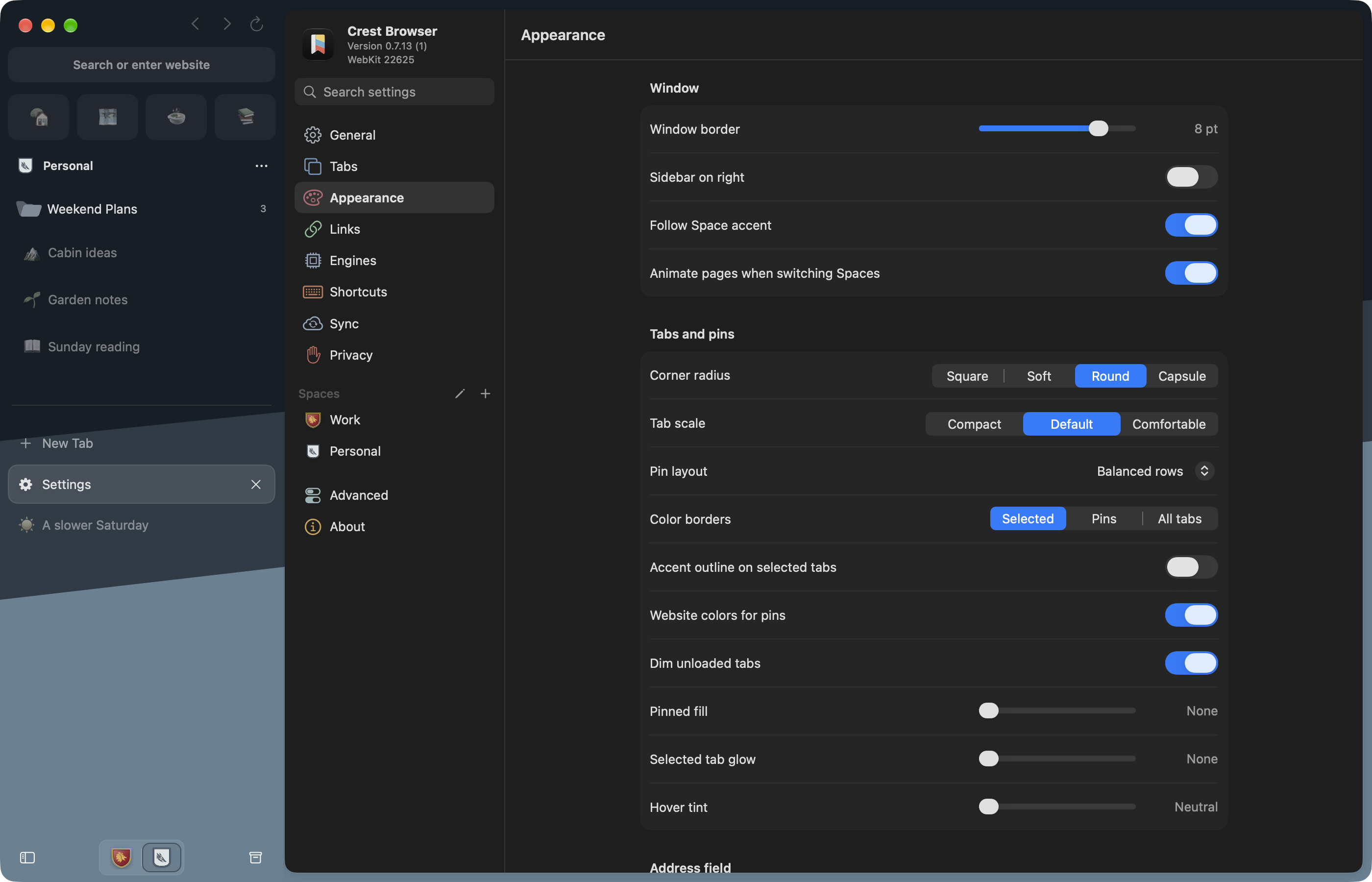 Appearance settings with window, accent, tab, and pin controls