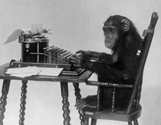 Chimpanzee at keyboard