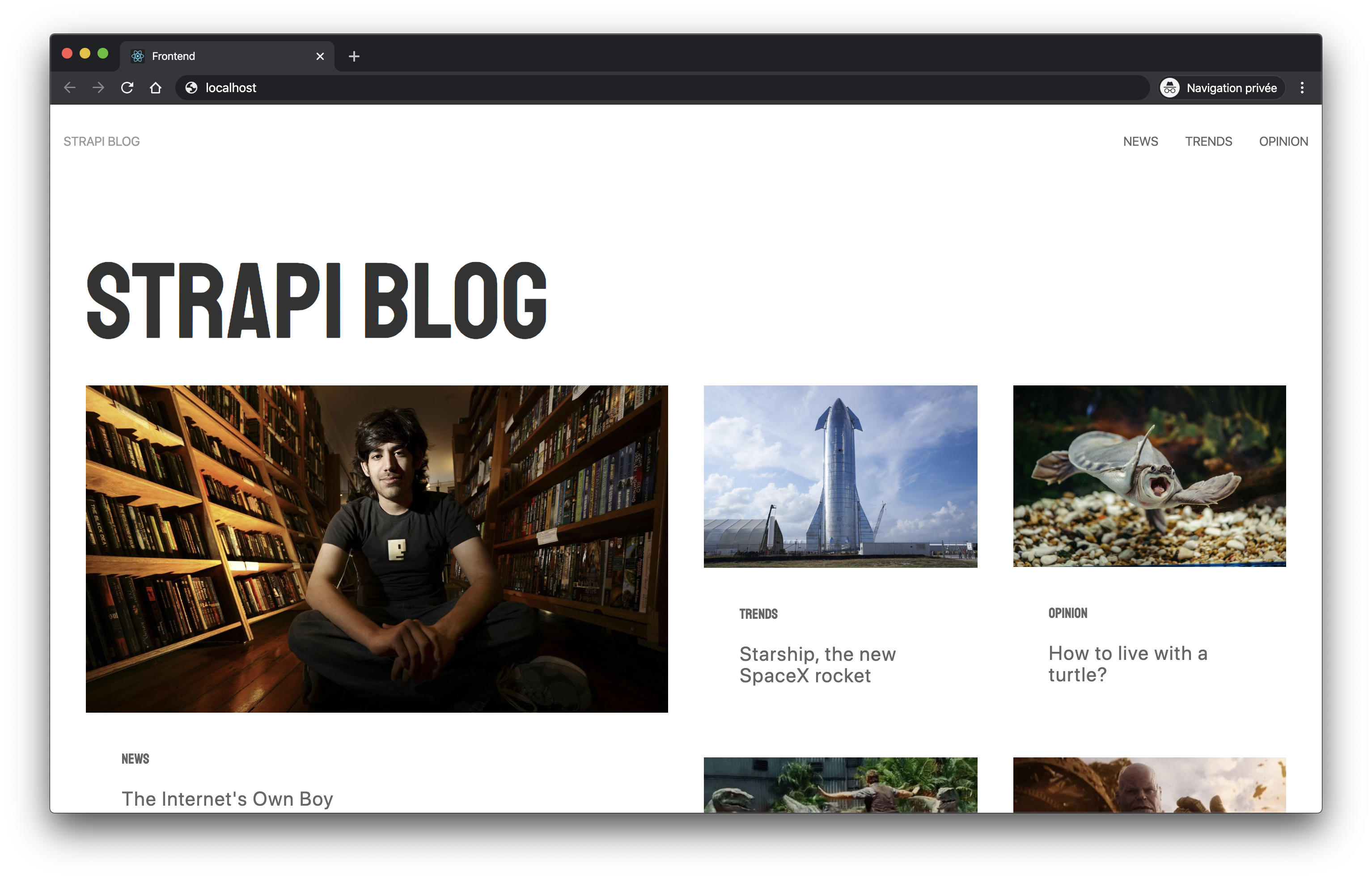 Strapi cms. Strapi js. Blog example. Блог на React.