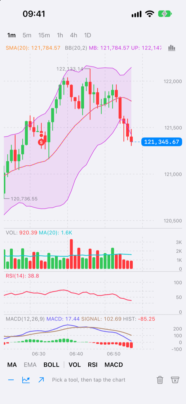 Candlesticks with a moving average and Bollinger Bands, and volume, RSI and MACD panes, in light appearance