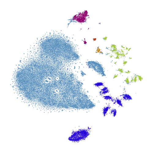 A visualization of 44,808 single cell transcriptomes obtained from the mouse retina embedded using the multiscale kernel trick to better preserve the global aligment of the clusters.