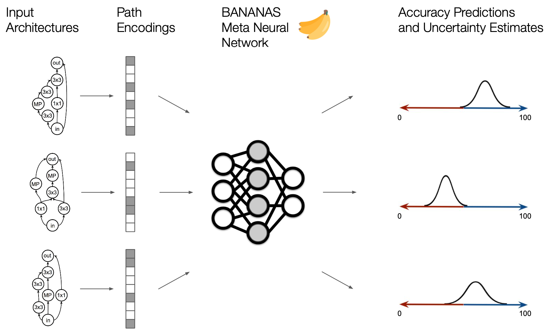 bananas_fig