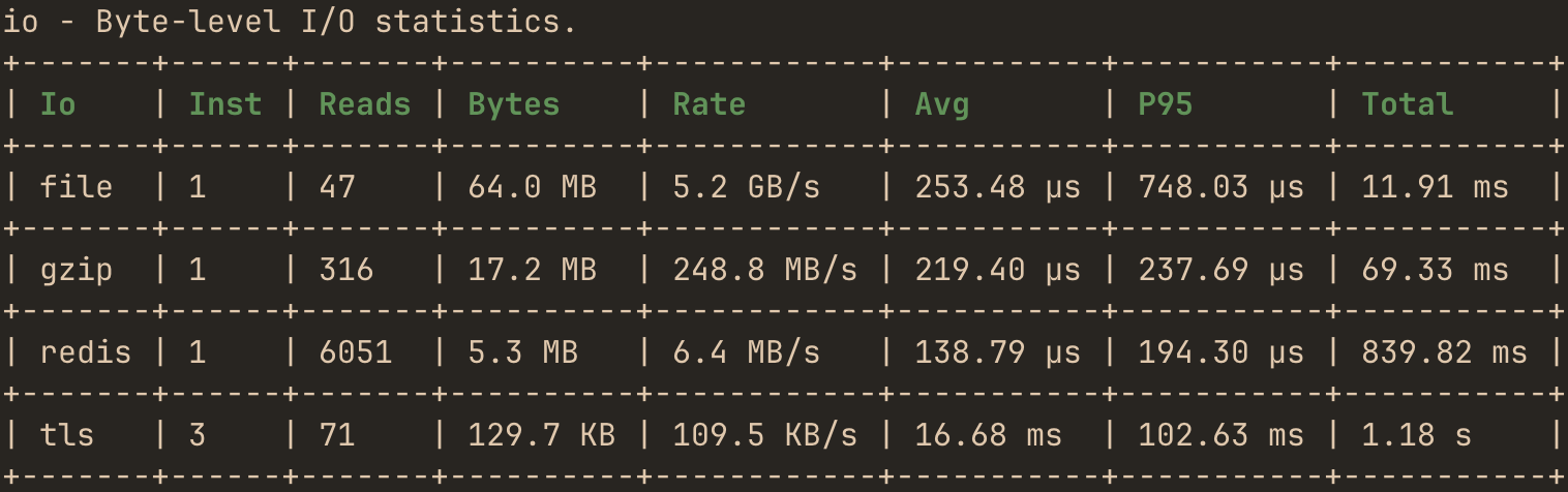 hotpath-rs I/O profiling report showing per-stream read counts, bytes, transfer rate, average and P95 latency