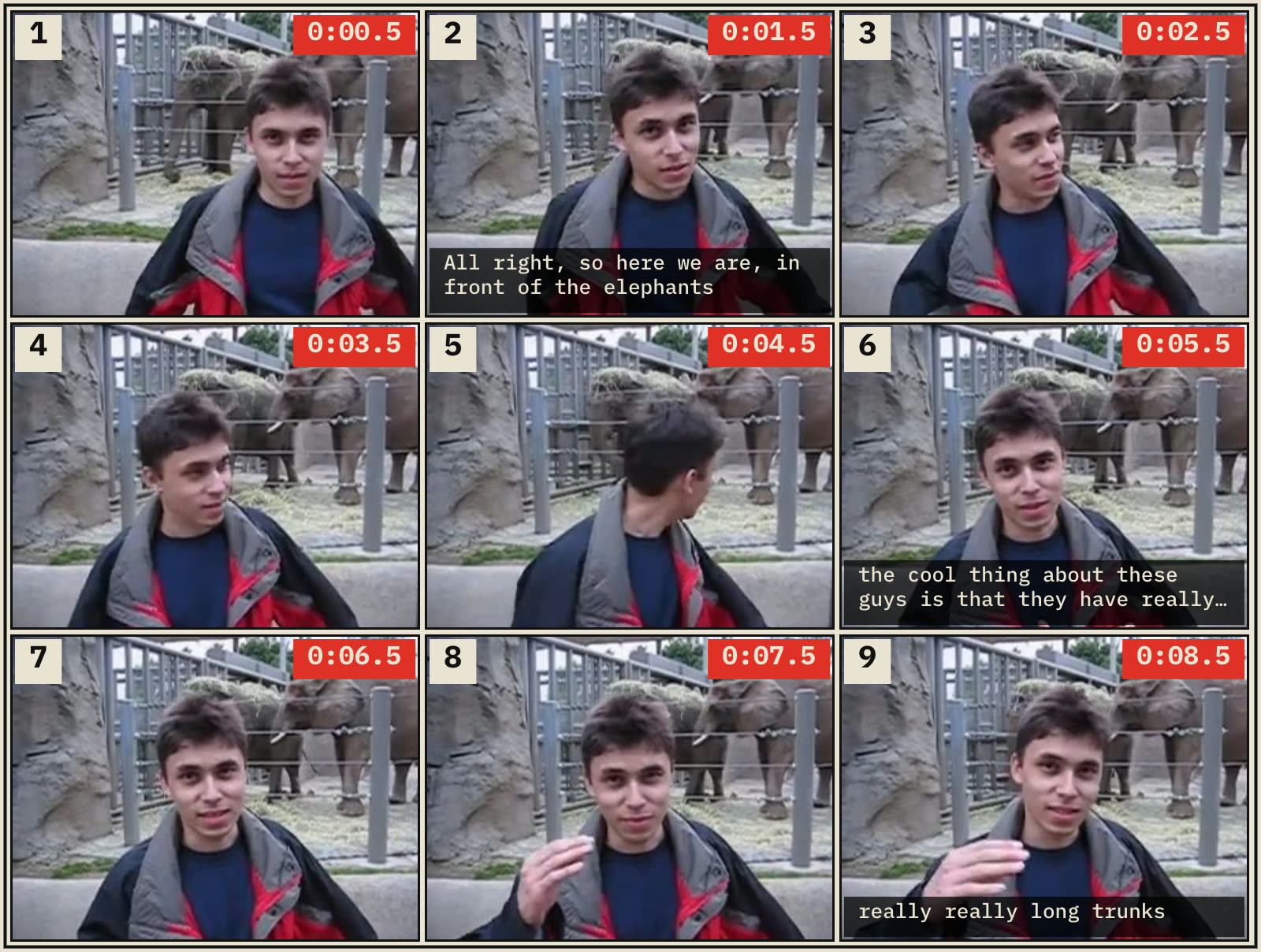 vidgrid example — a 3×3 grid generated from "Me at the zoo" with numbered cells, top-right timestamps, and real auto-captions burned in