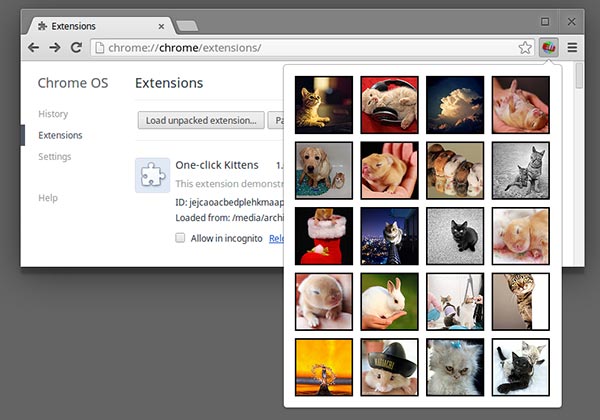 Chrome, with an extension's popup open and displaying many kittens.