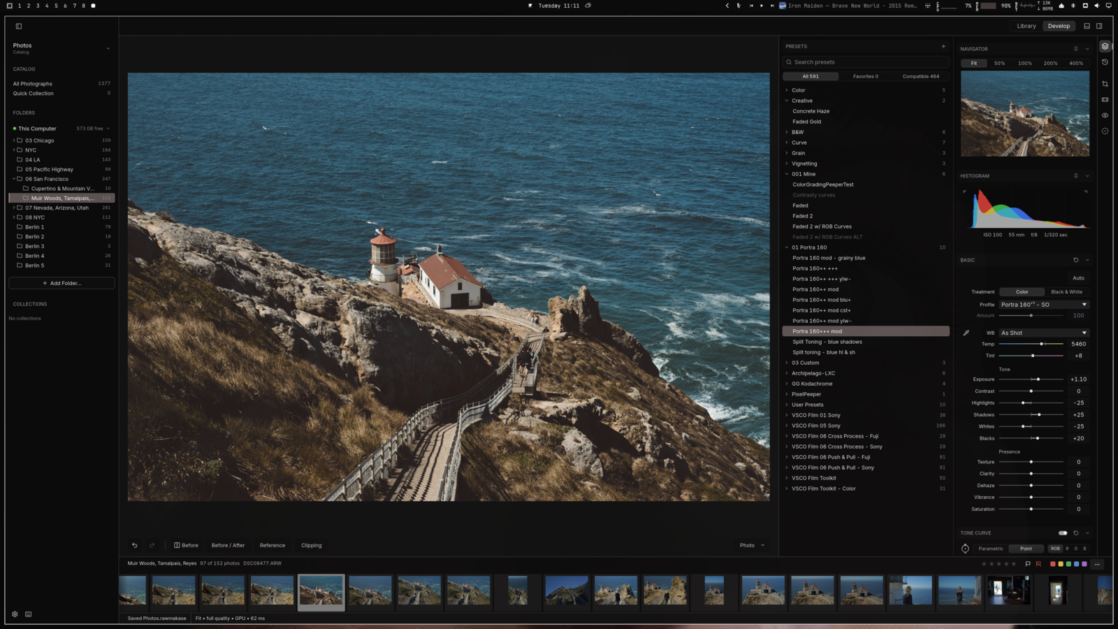 RAWmakase Develop view with presets, the photo, and the Basic and Tone Curve panels