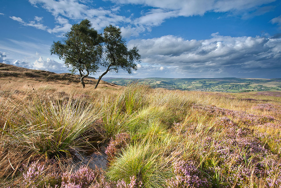 Eyam Moor - by Chris Gilbert