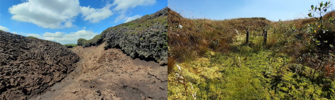 Showing before and after revegetaion views of a gully on Kinder Scout