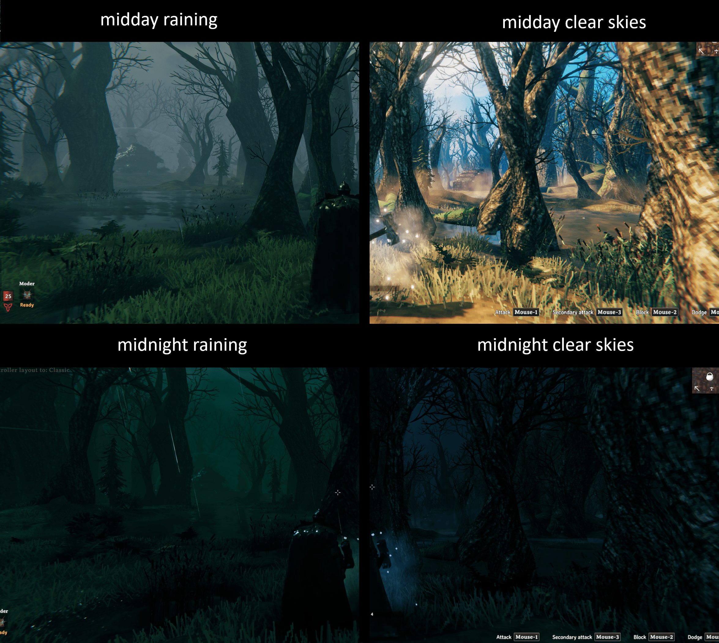 The Swamp in the rain and under clear skies at midday and midnight
