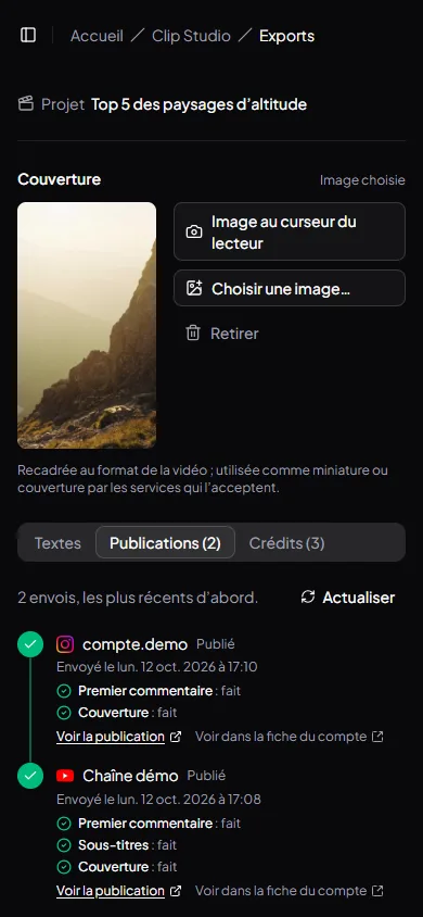 Fiche d’un export sur un téléphone, onglet Publications