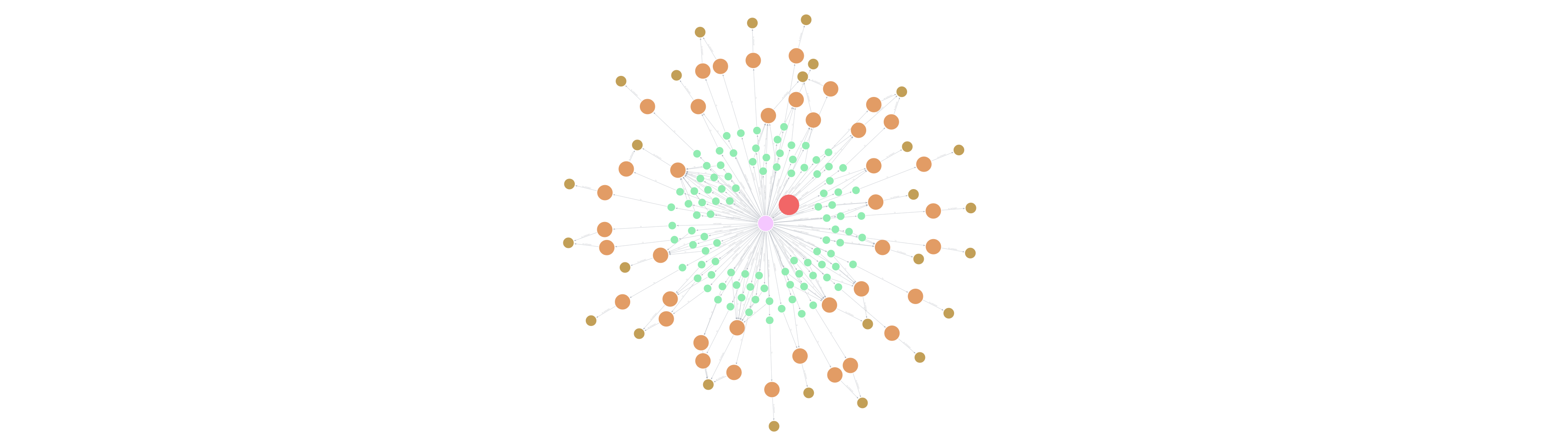 Transaction Network Visualization