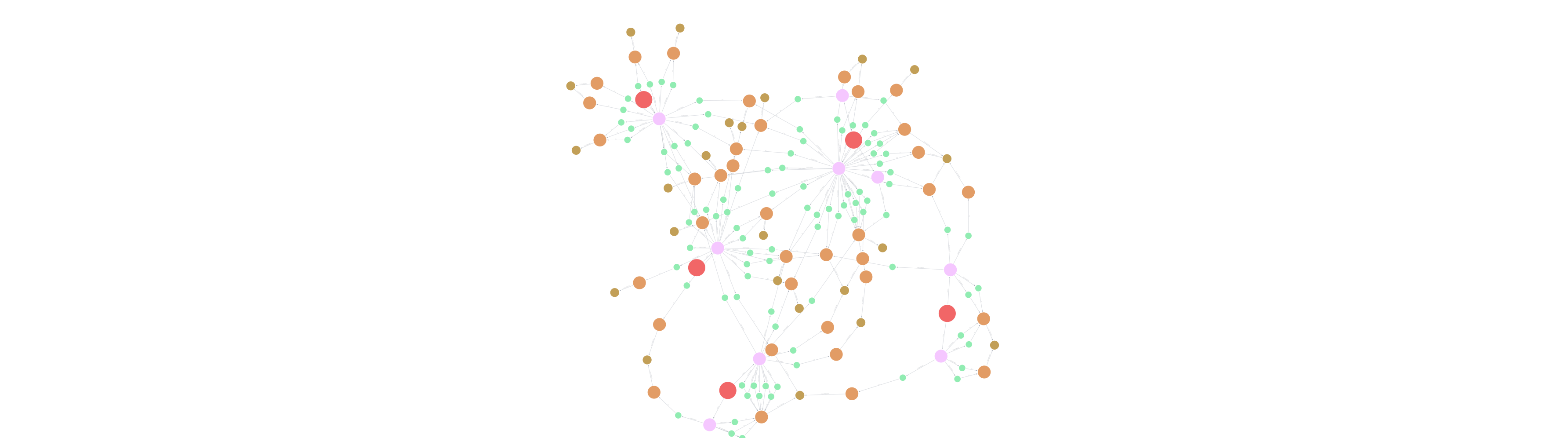 Whale Network - High Value Users