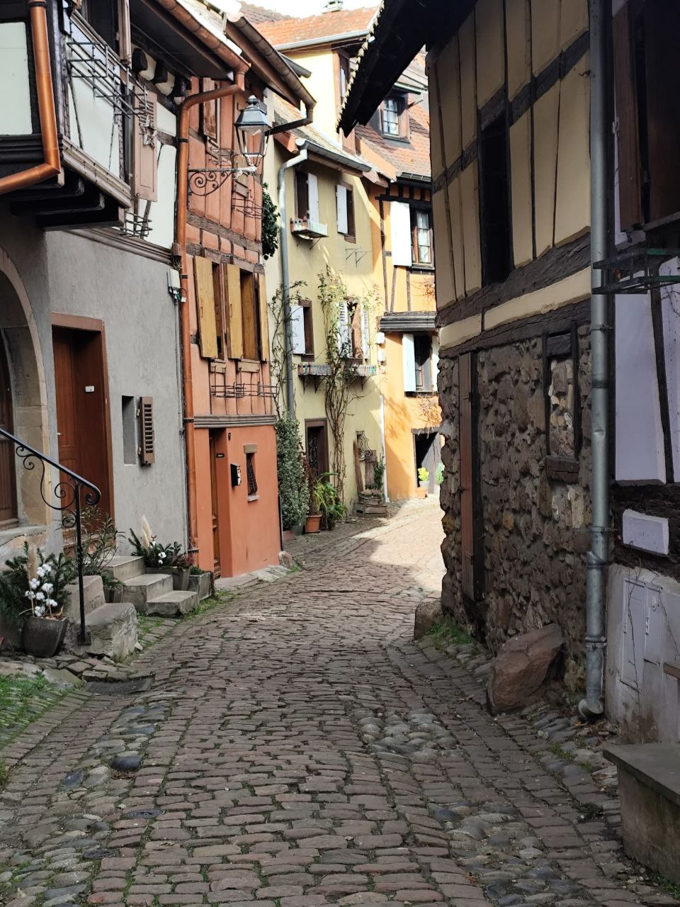 Ruelles fleuries - Eguisheim