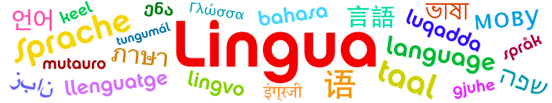 Lingua banner image