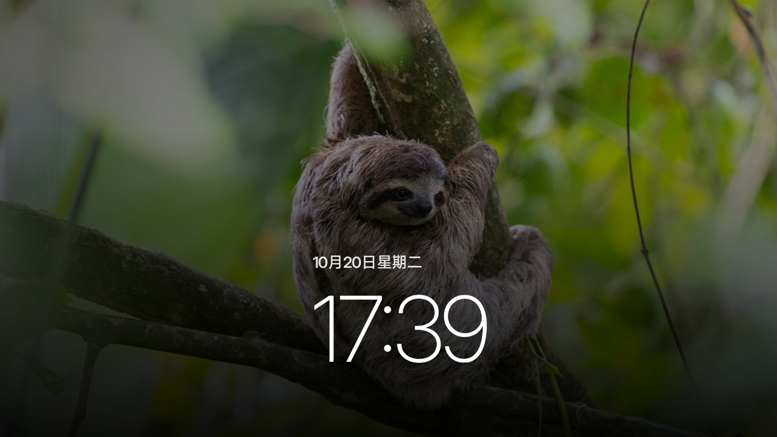 时钟屏保