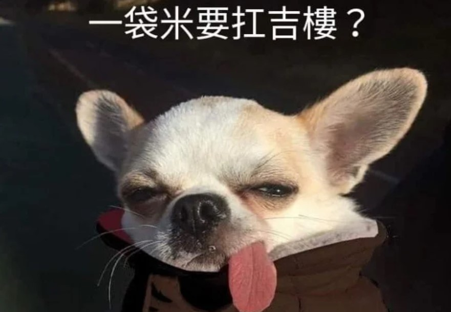 gh