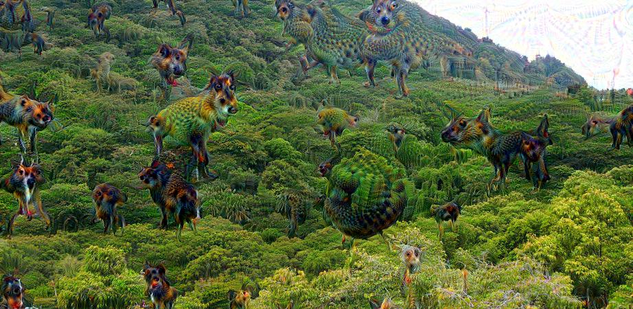 GitHub - pepaczz/deepdream_exploration: An extension to the Deepdream ...