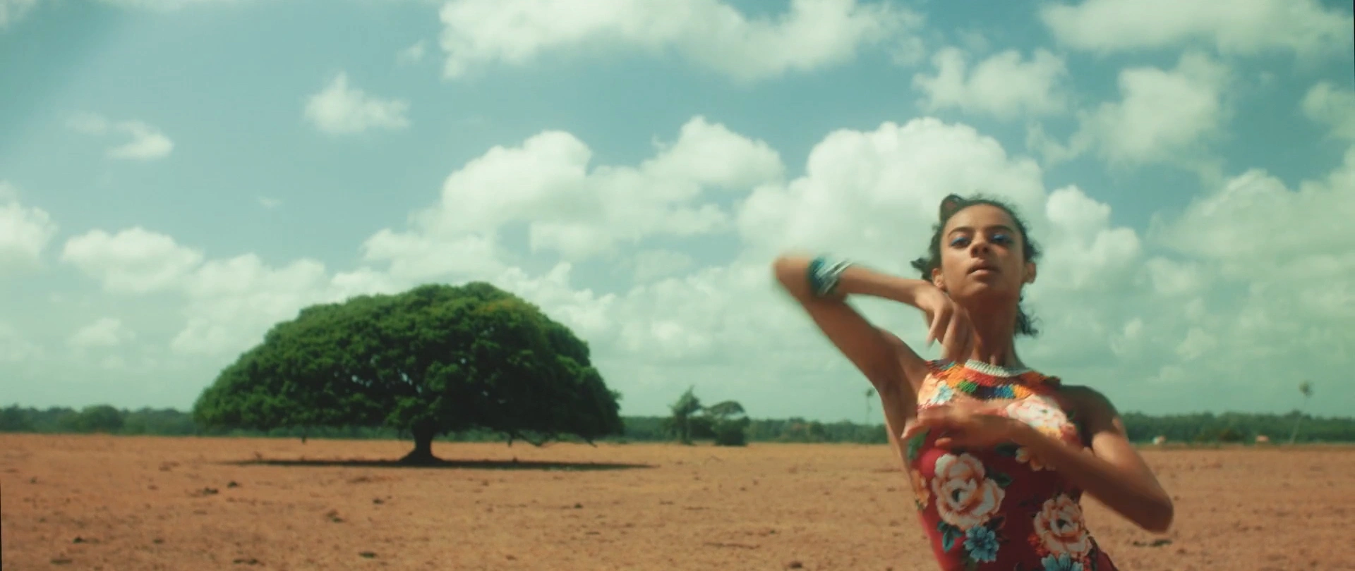 FARM — O CORAÇÃO É O NORTE — frame 4