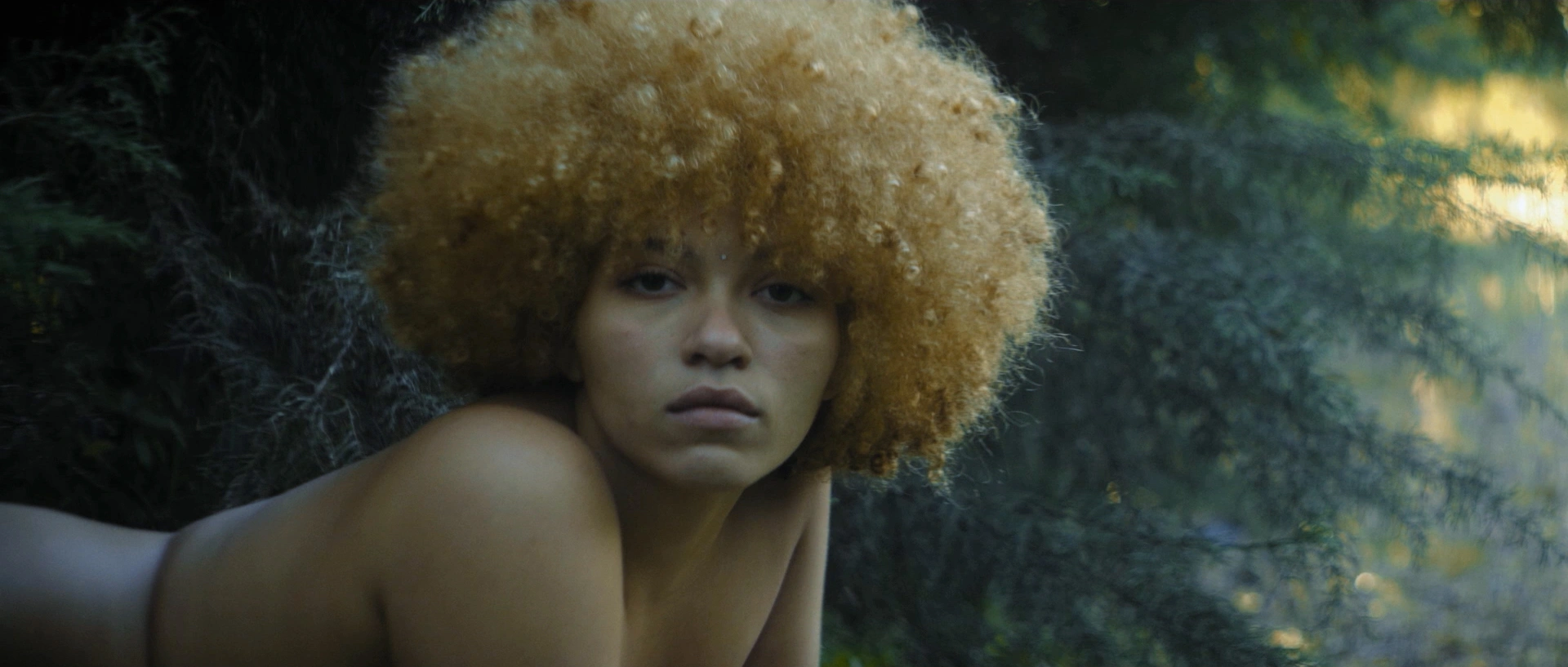 FARM — NATUREZA FEMININA
