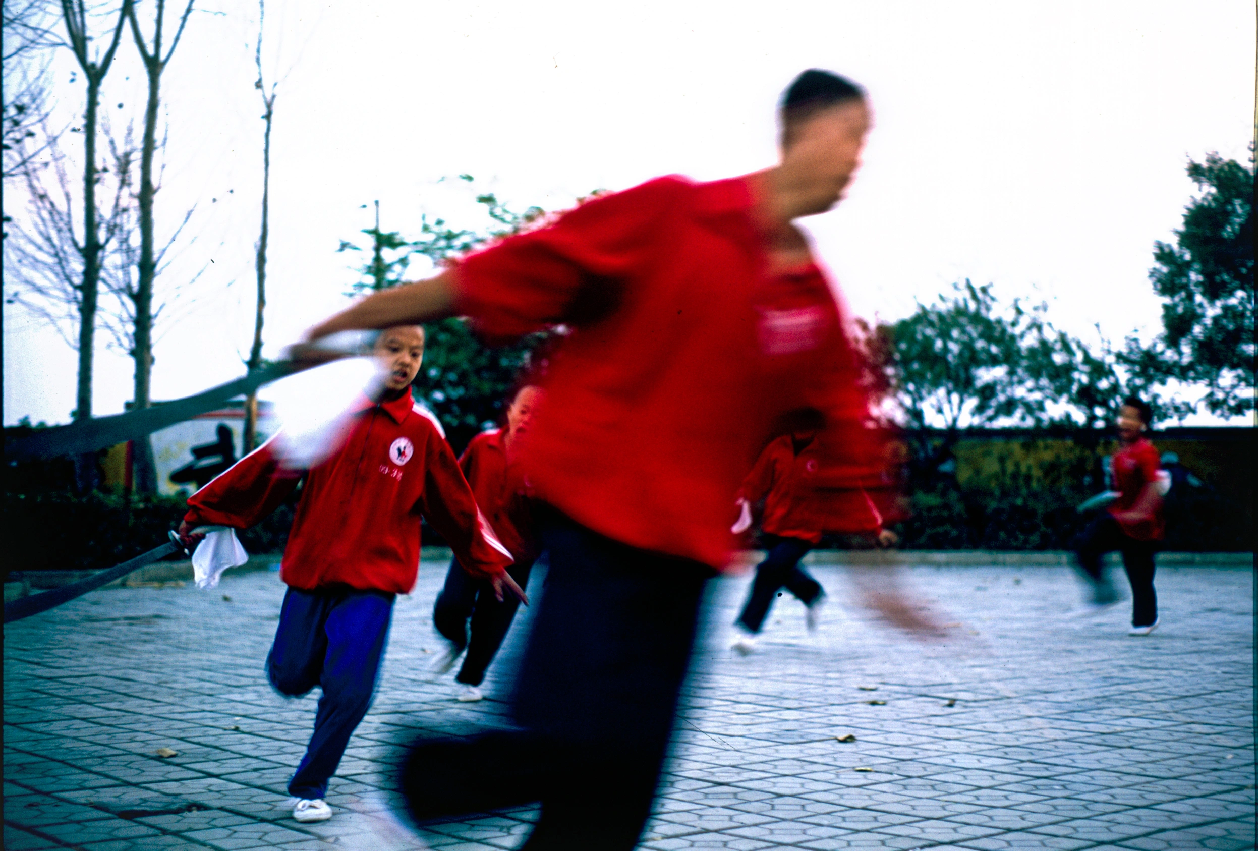 Gallery still 5 from SHAOLIN: KUNG FU'S ORIGINS, cinematography by Padu Palmerio.