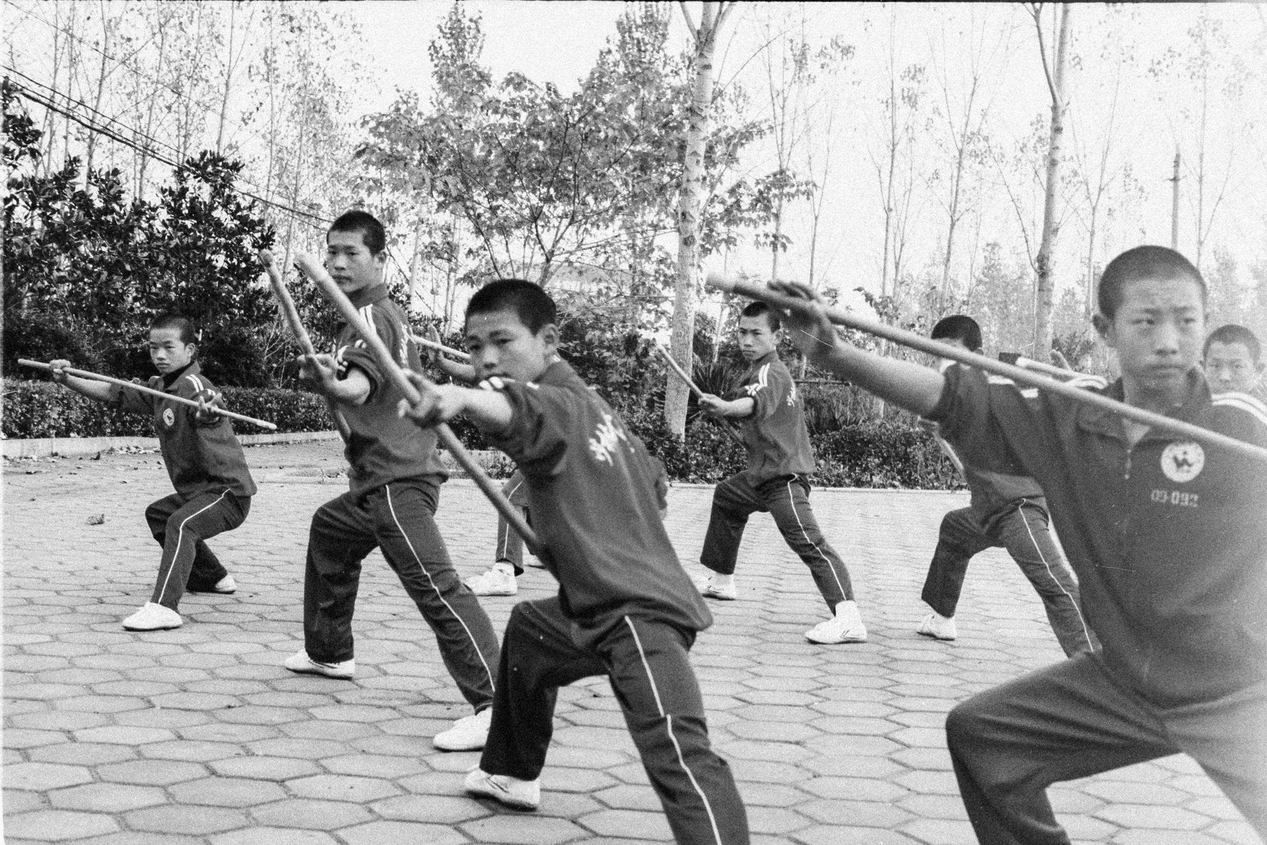 Gallery still 3 from SHAOLIN: KUNG FU'S ORIGINS, cinematography by Padu Palmerio.