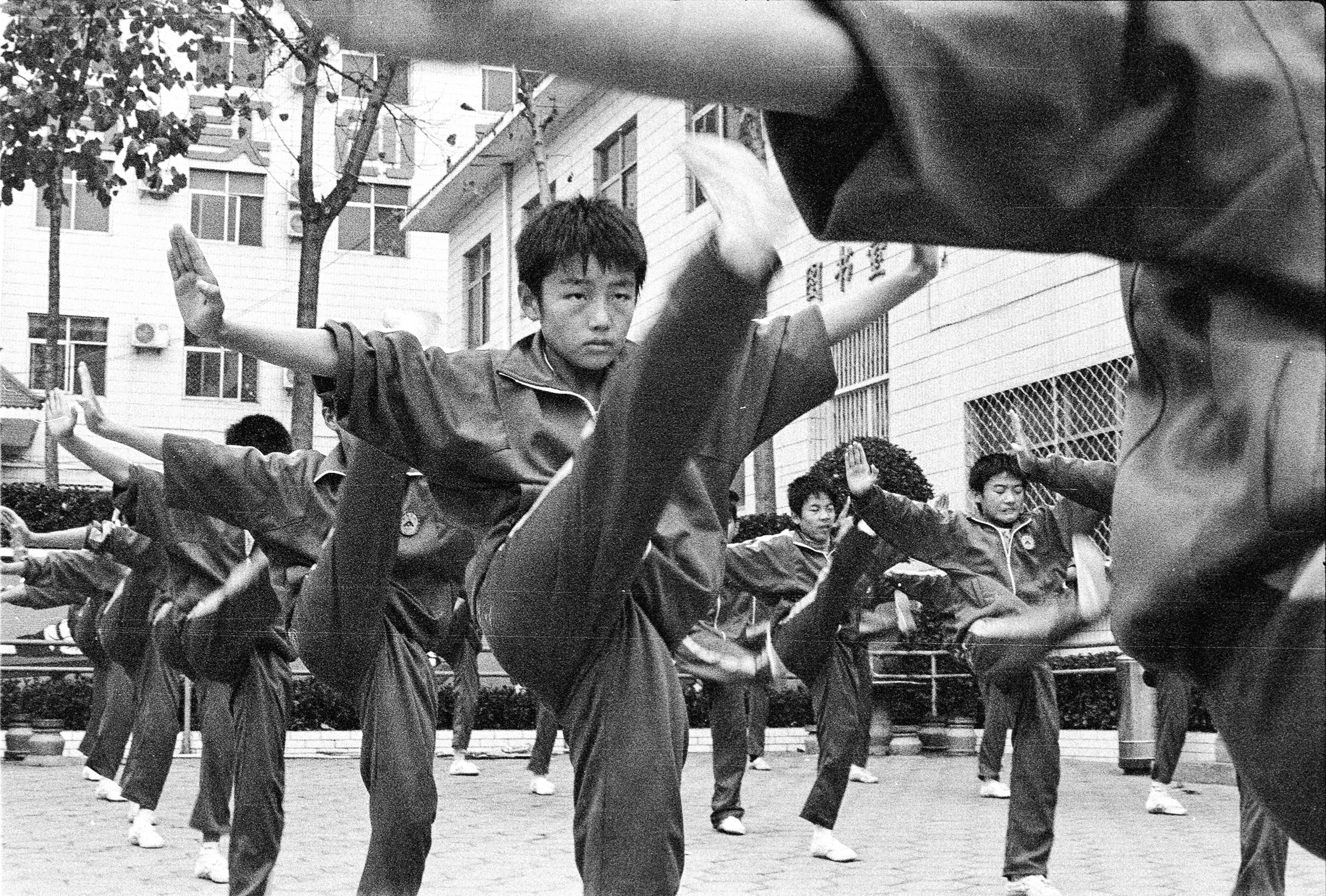 Gallery still 4 from SHAOLIN: KUNG FU'S ORIGINS, cinematography by Padu Palmerio.