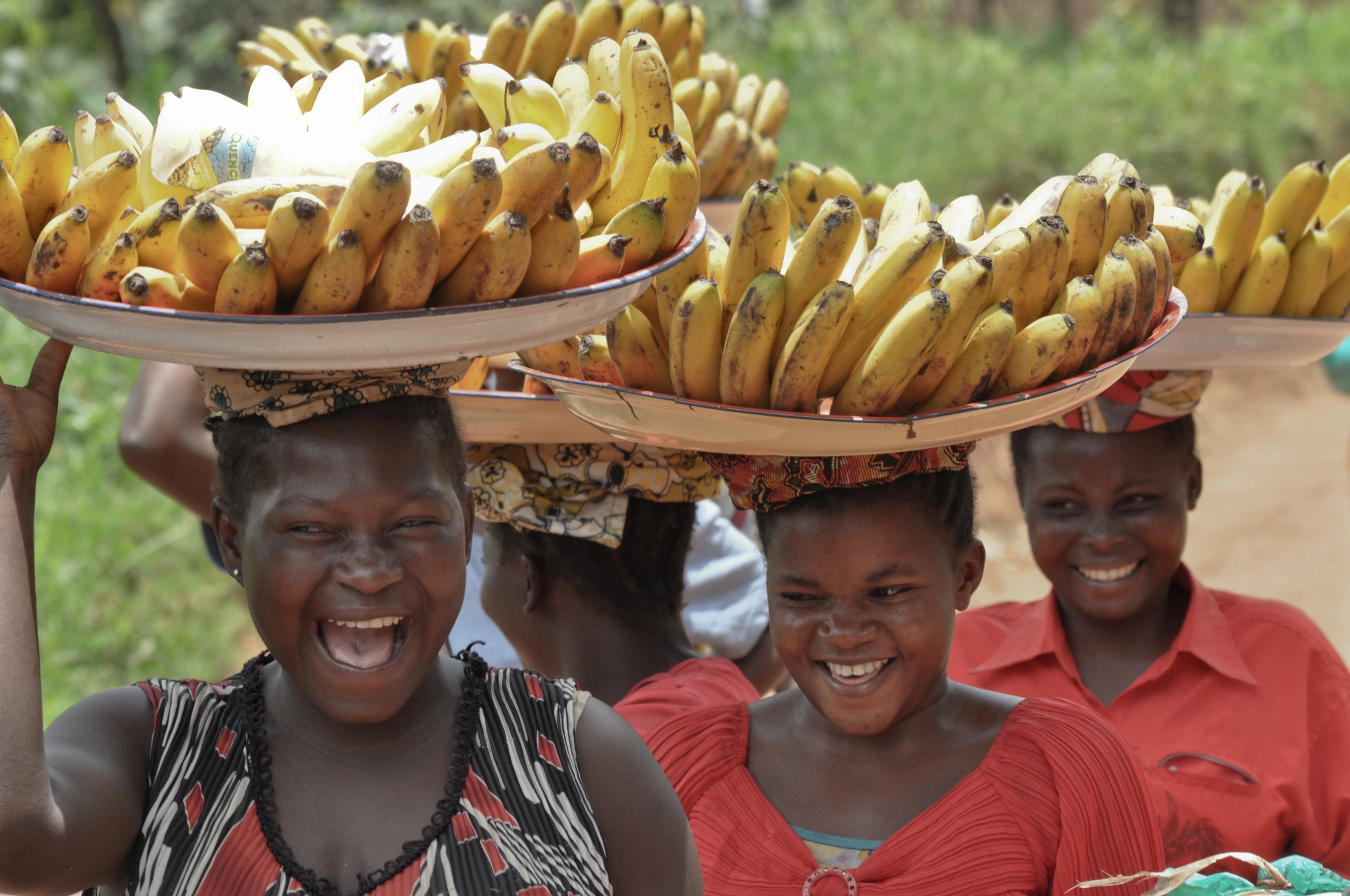 Gallery still 13 from NEW AFRICA, cinematography by Padu Palmerio.