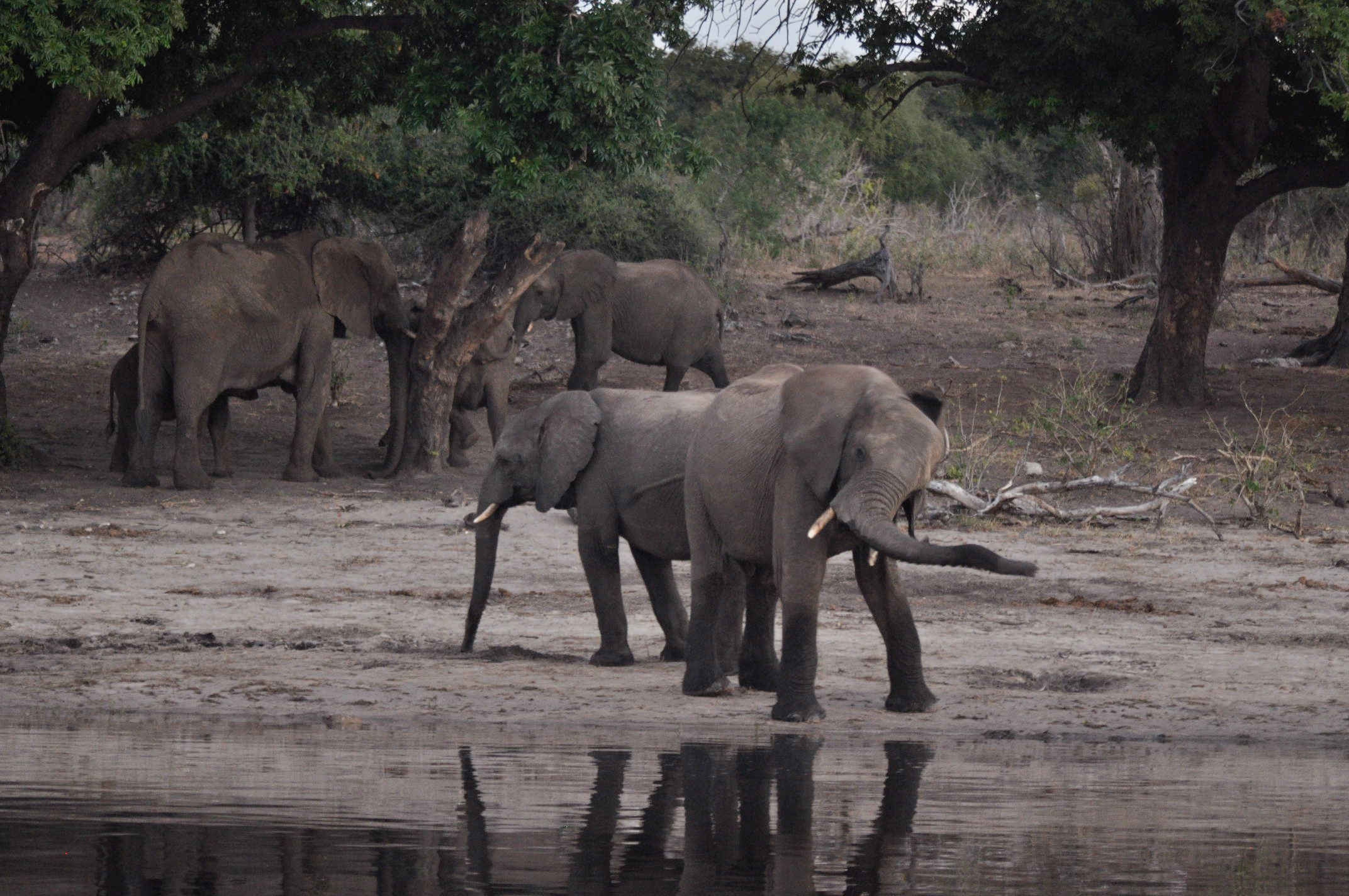Gallery still 5 from NEW AFRICA, cinematography by Padu Palmerio.