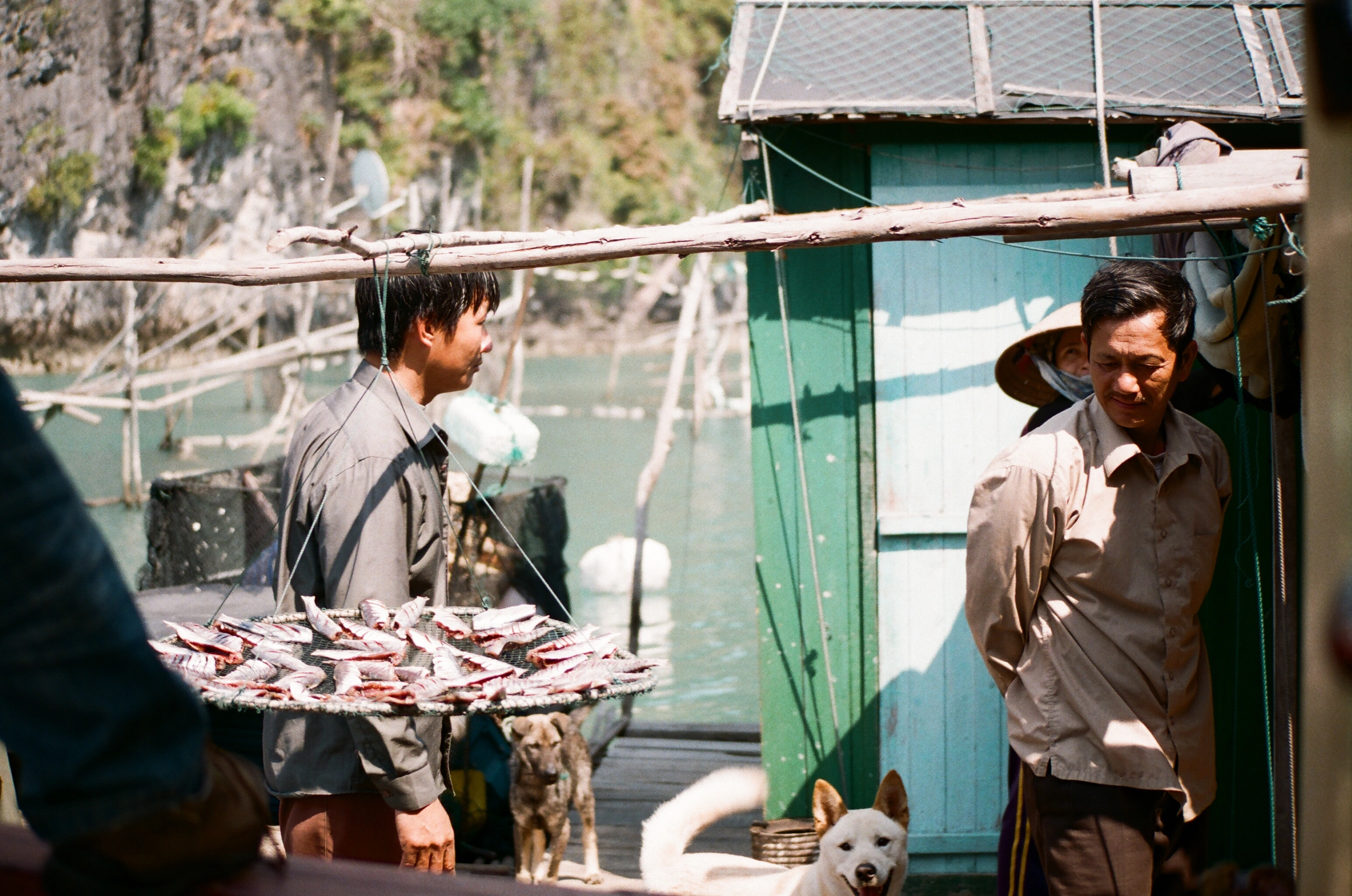 Gallery still 6 from VIETNAM, cinematography by Padu Palmerio.