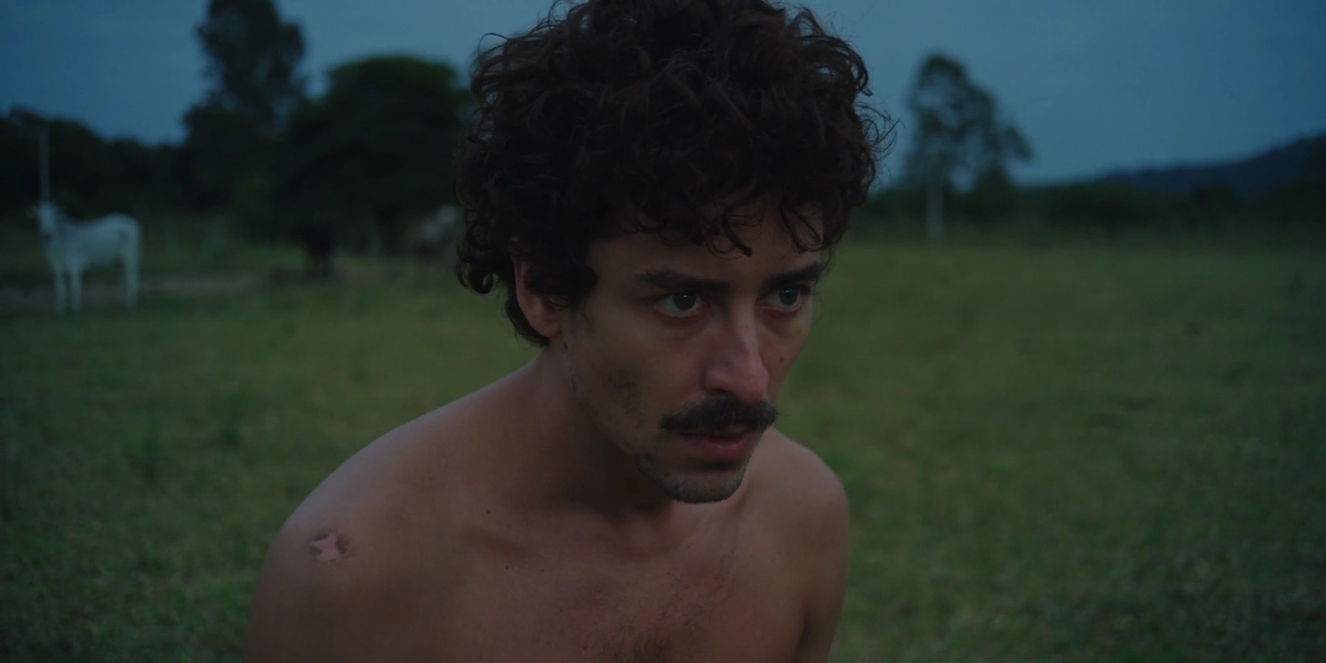 ÁGUA DOCE — frame 3