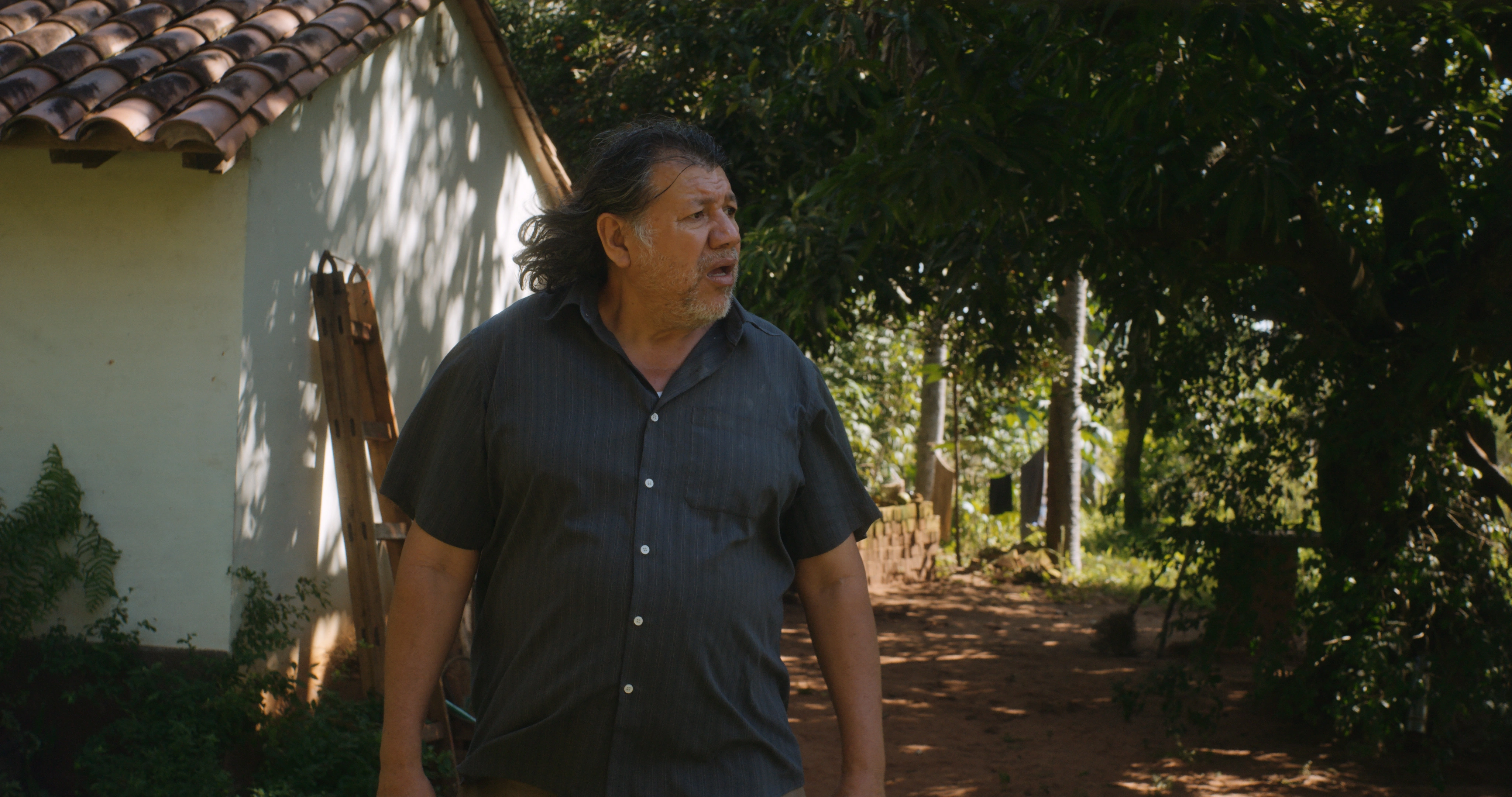 GALLINA — frame 4