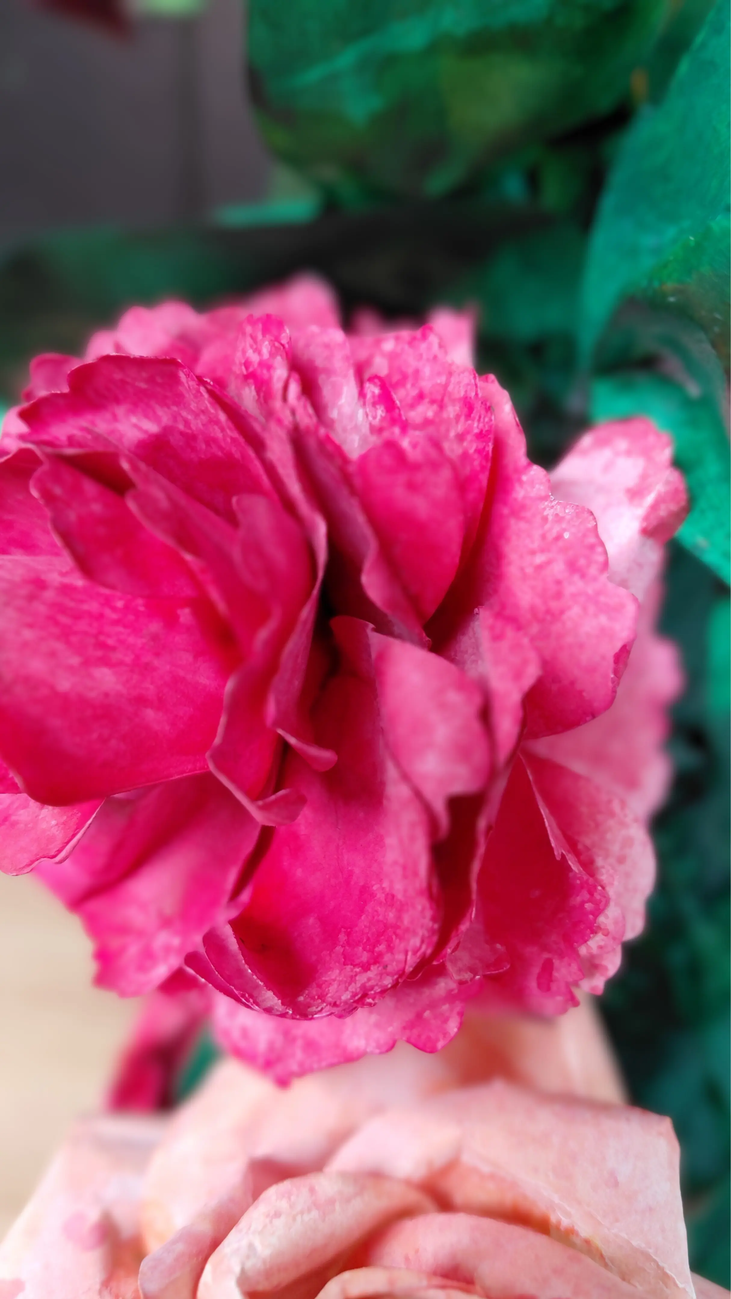 carnations handmade paper flowers