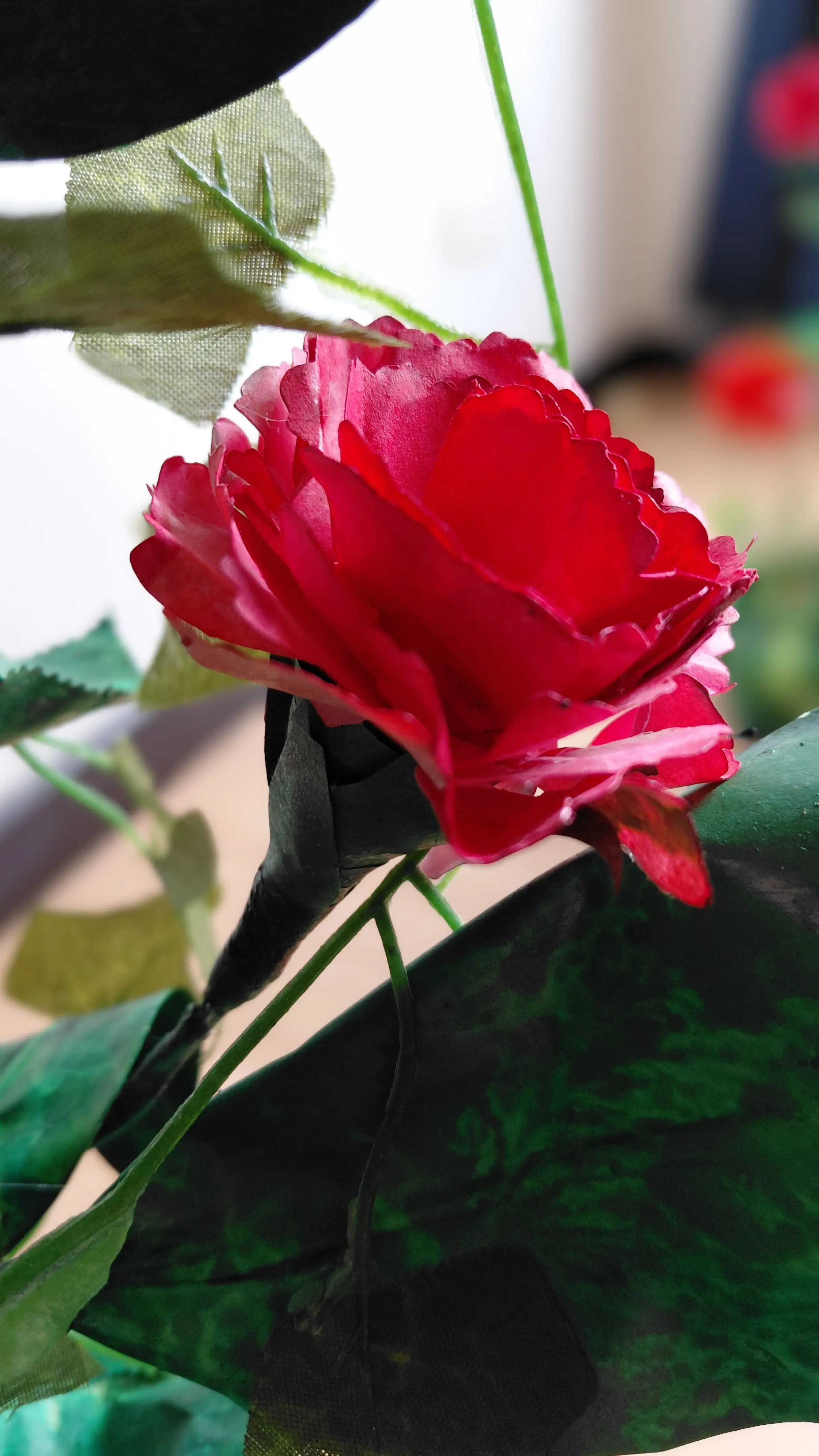 carnations handmade paper flowers