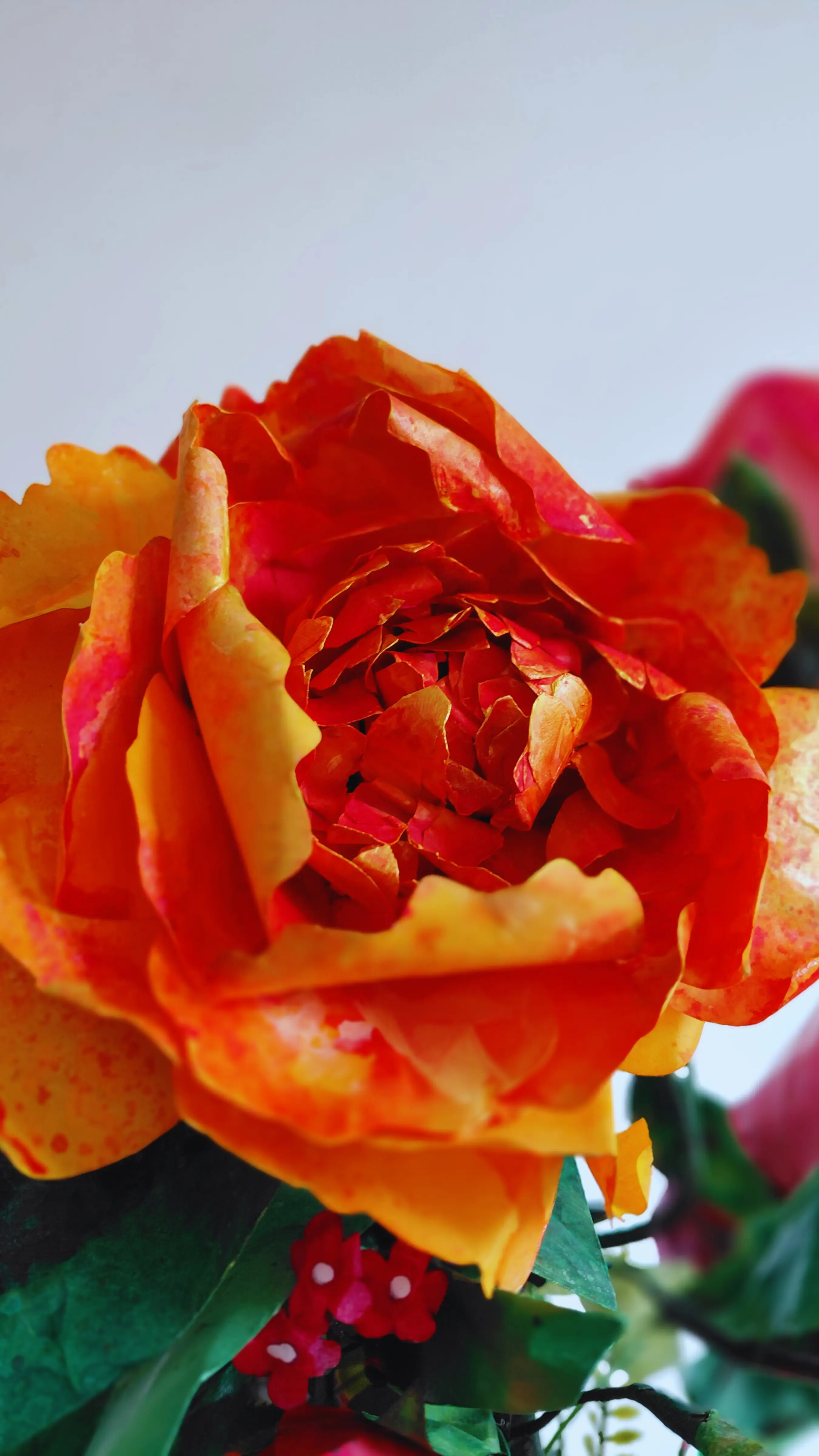 peonies handmade paper flowers