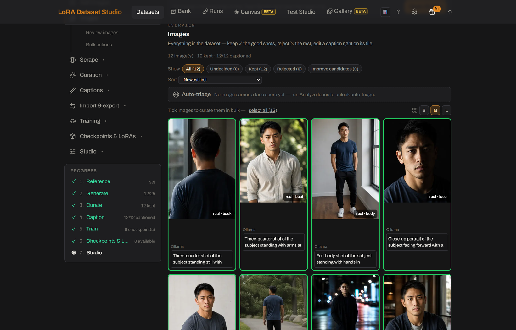 Dataset curation