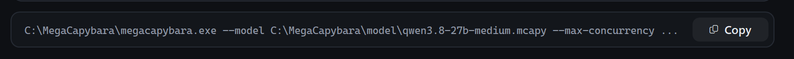 The launcher's command line and its Copy button