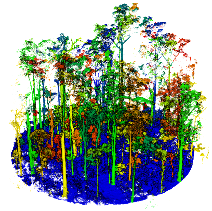 individual_tree_segmentation.png