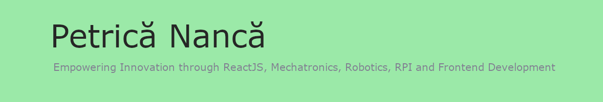 Petrica Nanca banner - software engineer