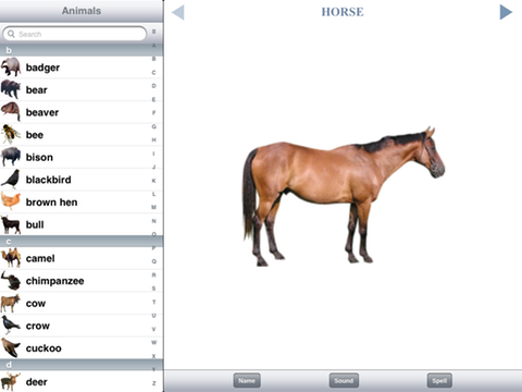 Horse, landscape