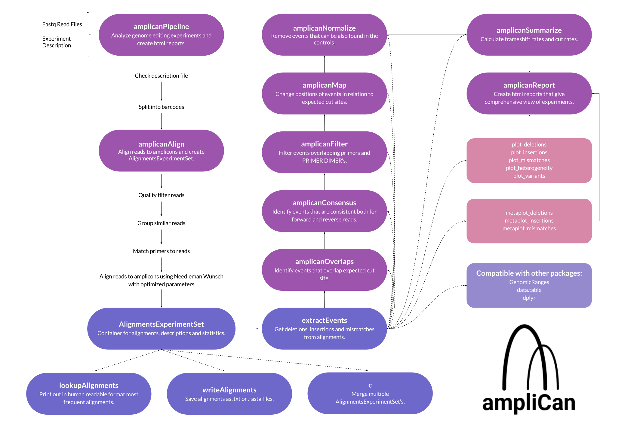 Conceptual map of the amplican