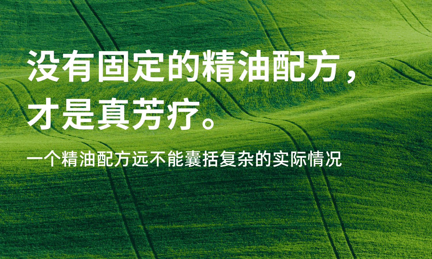 notion image