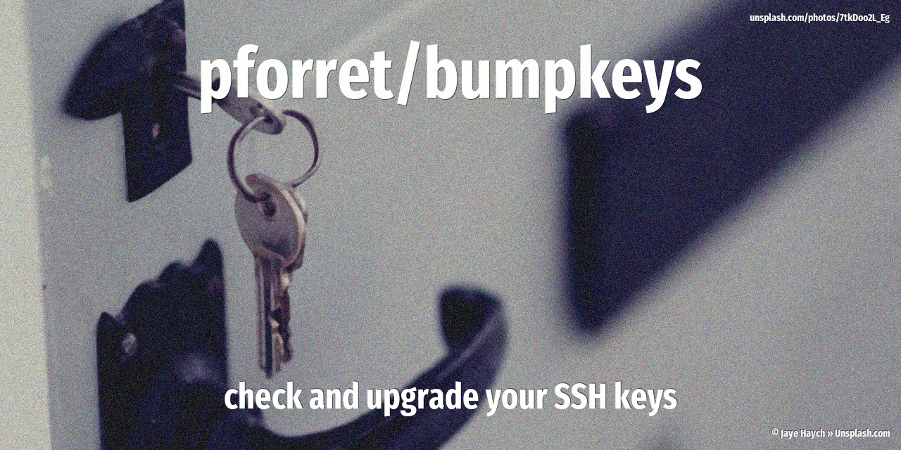 Bumpkeys logo